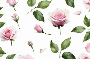 AI generated pink roses and leaves on a white background, photo