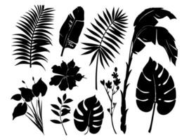 Set of black silhouettes of leaves and flowers. Vector illustration.