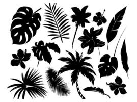 Set of black silhouettes of leaves and flowers. Vector illustration.