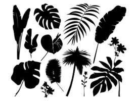 Set of black silhouettes of leaves and flowers. Vector illustration.