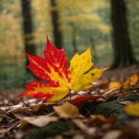 AI generated Autumn's Farewell Close-Up of a Red Maple Leaf in the Forest Generative by AI photo