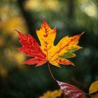 AI generated Autumn's Farewell Close-Up of a Red Maple Leaf in the Forest Generative by AI photo