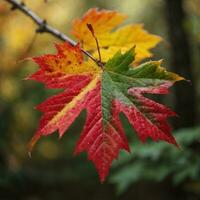 AI generated Autumn's Farewell Close-Up of a Red Maple Leaf in the Forest Generative by AI photo