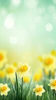 AI generated A bright and cheerful image of yellow daffodils with a blurred background of green grass photo