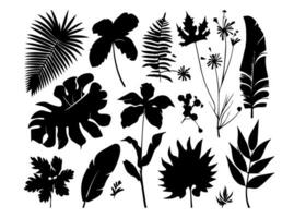 Set of black silhouettes of leaves and flowers. Vector illustration.