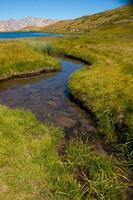a small stream in a grassy field photo