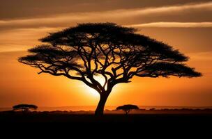 ai generado un negro y blanco puesta de sol escena con el silueta de un acacia árbol foto