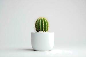 AI generated Front view of Small plant in pot succulents or cactus isolated on white background. Indoor plants. photo