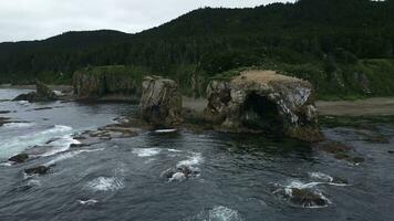 Top view of coast with rock erosion and flying birds. Clip. Cinematic landscape with magnificent rocky coast and reefs. Cliff with erosion off north coast with flying gulls photo