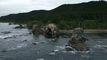 Top view of seagulls flying near rocky cliff on coast. Clip. Northern coast with rocks and seagulls on background of green mountains on cloudy day. Beautiful coast with through erosion of sea rocks photo