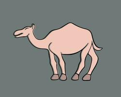 Vector isolated illustration of camel with outline.