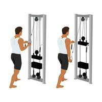 Man doing cable one arm reverse grip tricep pushdown exercise. vector