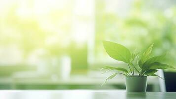 ai generado moderno verde oficina escritorio mesa con plantas. escritorio plantas lata reducir estrés a trabajo foto