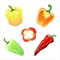 Set of illustrations of different types of peppers in bright colours . Vector illustration