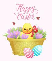 Vector illustration of an Easter chicken in a basket with crocuses in gentle colors. Greeting card