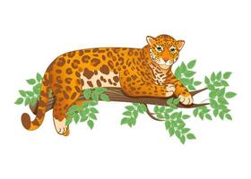 Vector illustration of a leopard or jaguar lying on a tree branch in cartoon style