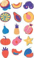 Organic Fruit Elements Set vector