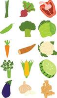 Organic Vegetable Elements Set vector