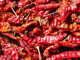 Red dried chili peppers exposed to sunlight as a background. photo