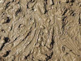 Wet dirty mud on field background texture. Top view photo