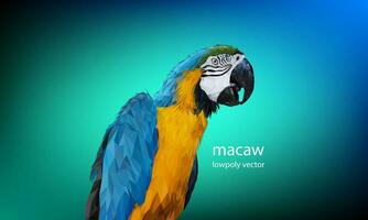 Polygon Graphics Blue and yellow macaw parrot vector background