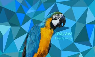 Polygon Graphics Blue and yellow macaw parrot vector illustration