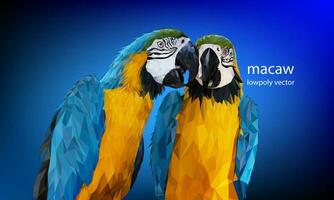 Polygon Graphics Blue and yellow two macaw parrot vector background