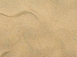 Sand texture. Sandy beach for background. Top view photo