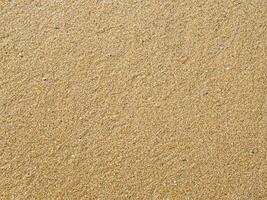Sand texture. Sandy beach for background. Top view photo