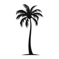 A Palm tree vector isolated on a white background, Tropical palm tree Silhouette