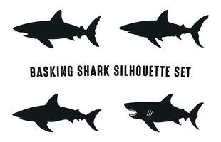 Basking Shark Silhouette Vector Bundle, Set of various Shark Silhouettes Clipart