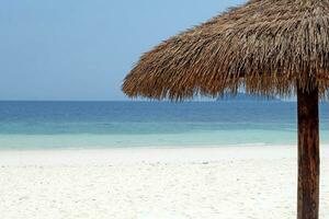 Tropical beach on a bright, sunny day with no people, umbrellas, nature photo