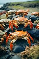 AI generated A gathering of crabs on a rugged shoreline photo