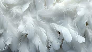 AI generated White feathers texture background detailed digital art with beautifully detailed large bird feathers photo