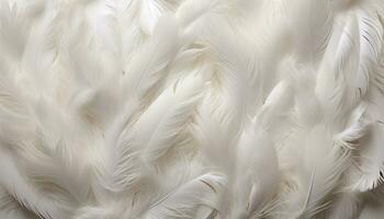 AI generated Detailed white feather texture background with oversized bird feathers in digital art photo