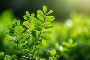 AI generated Blurred bokeh green leaves background with space for text   ecology and healthy environment concept photo