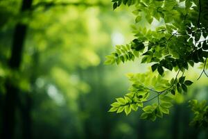 AI generated blurred bokeh background with green leaves  concept of ecology and healthy environment photo