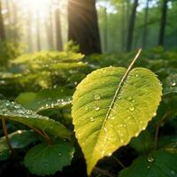 AI generated Water drop on leaf photo