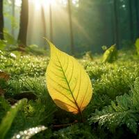 AI generated Water drop on leaf photo