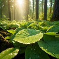 ai generado agua soltar en hoja foto