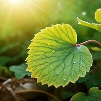AI generated Water drop on leaf photo