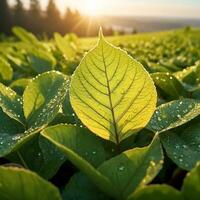 AI generated Water drop on leaf photo