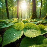 AI generated Water drop on leaf photo