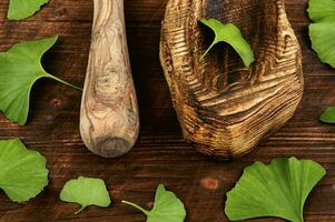 Ginkgo biloba leaves, medicines. photo