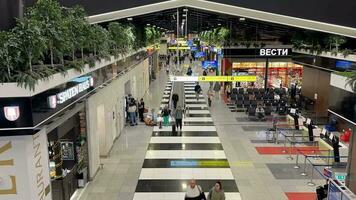 bruisend luchthaven terminal met bezig reizigers video