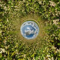 agujero azul esfera pequeño planeta dentro de hierba verde fondo de marco redondo foto