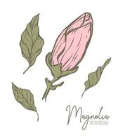 magnolia flor línea ilustración. dibujado a mano contorno contorno de Boda hierba, elegante hojas para invitación salvar el fecha tarjeta. botánico de moda verdor vector colección para web, imprimir, carteles