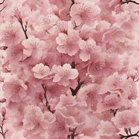 Pink cherry blossom photo