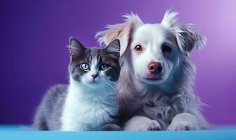 AI generated dogs and cats together on a pink background, photo