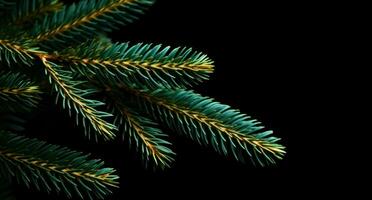 ai generado suizo abeto Navidad árbol aislado en oscuro antecedentes Navidad árbol foto